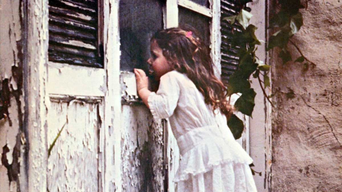 Violent Femmes album cover